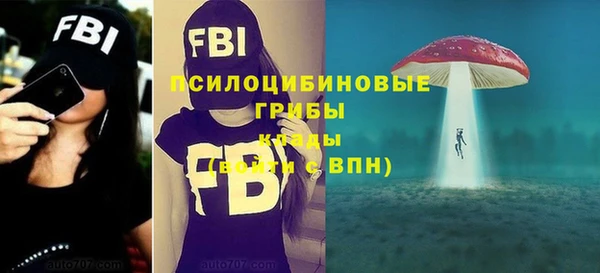 таблы Алзамай
