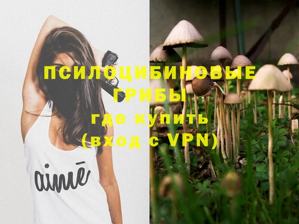 не бодяженный Абдулино